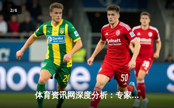 体育资讯网深度分析：专家解读 - 2